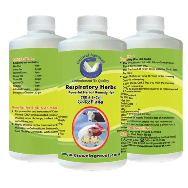 Growel Respiratory Herbs veterinary medicine for CRD, E. coli, cough, and cold in poultry, cattle, pigs, goats, sheep, birds, and pigeons