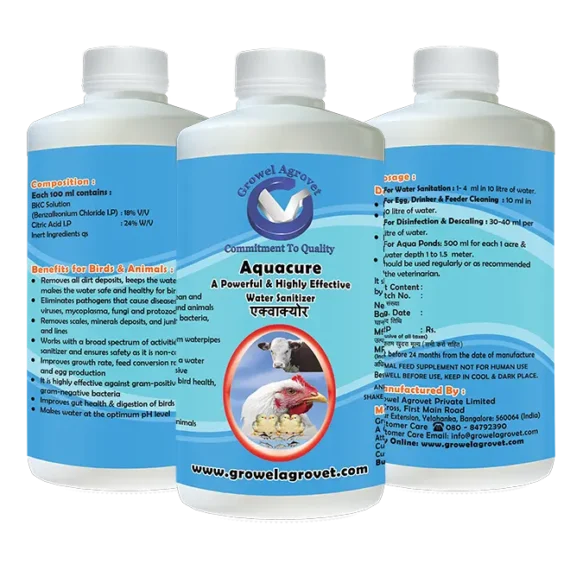 Aquacure water sanitiser and acidifiers for aquaculture, animal, and poultry