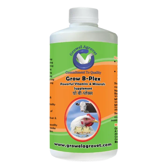 Vitamins, Amino Acids And Minerals For Poultry,Cattle,Horse,Goat,Sheep,Pig,Cow Birds And Pigeons