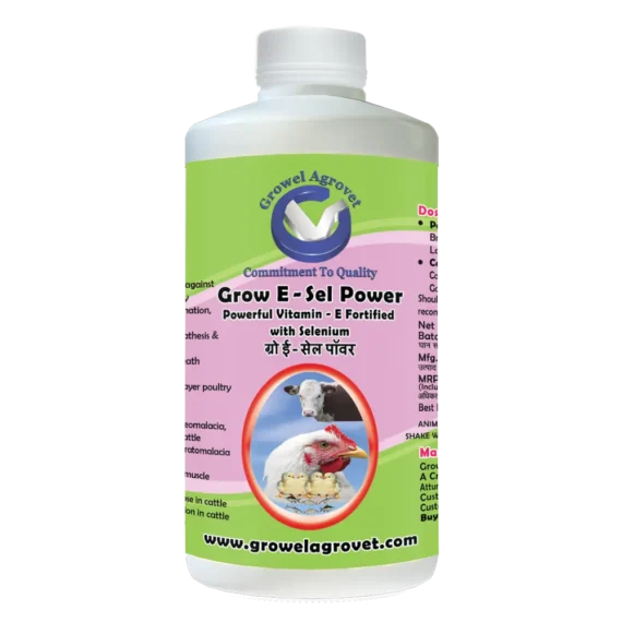 Grow E-Sel Power – Vitamin E With Selenium And Biotin For Poultry, Cattle, Horses, Pigs, Goats, Sheep, Pigeons And Birds