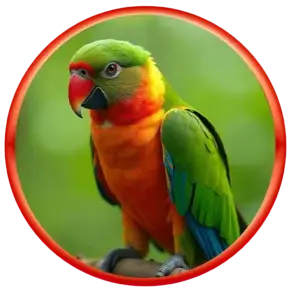 Growel’s bird supplements are specially formulated to provide essential vitamins, minerals, amino acids, chelated minerals, and probiotics that meet the nutritional needs of your pet bird.