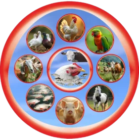 Veterinary franchise and PCD business with Growel Agrovet – partner with India’s leading animal healthcare brand.