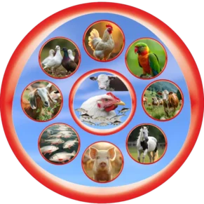 Veterinary franchise and PCD business with Growel Agrovet – partner with India’s leading animal healthcare brand.