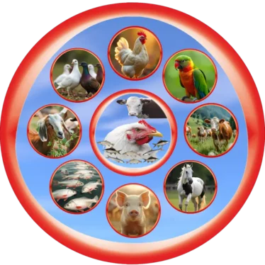 Veterinary franchise and PCD business with Growel Agrovet – partner with India’s leading animal healthcare brand.