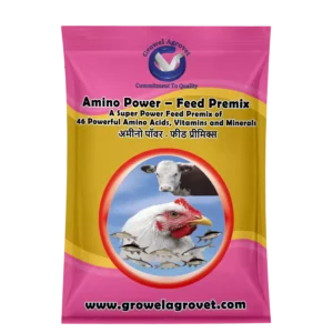 Amino Power- Feed Premix: A Super Power Feed Premix with 46 Amino Acids, Vitamins and Minerals for Aquaculture,Poultry, Cattle, Horses, Pigs, Goats and  Sheep