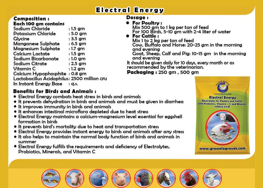 ELECTRAL-ENERGY-2