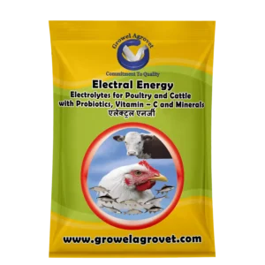 Electral Energy - Electrolytes  for Dairy Cattle with Vitamins, Minerals & Probiotics