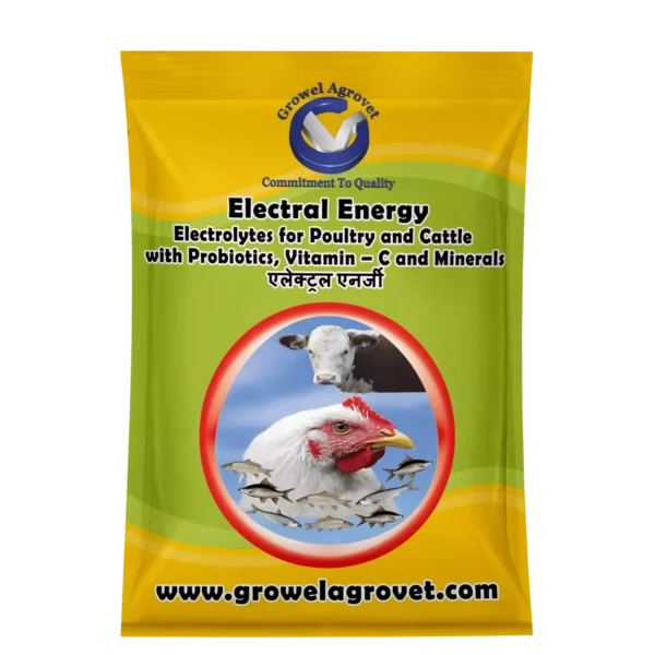 Electral Energy - Electrolytes with Vitamins, Minerals & Probiotics