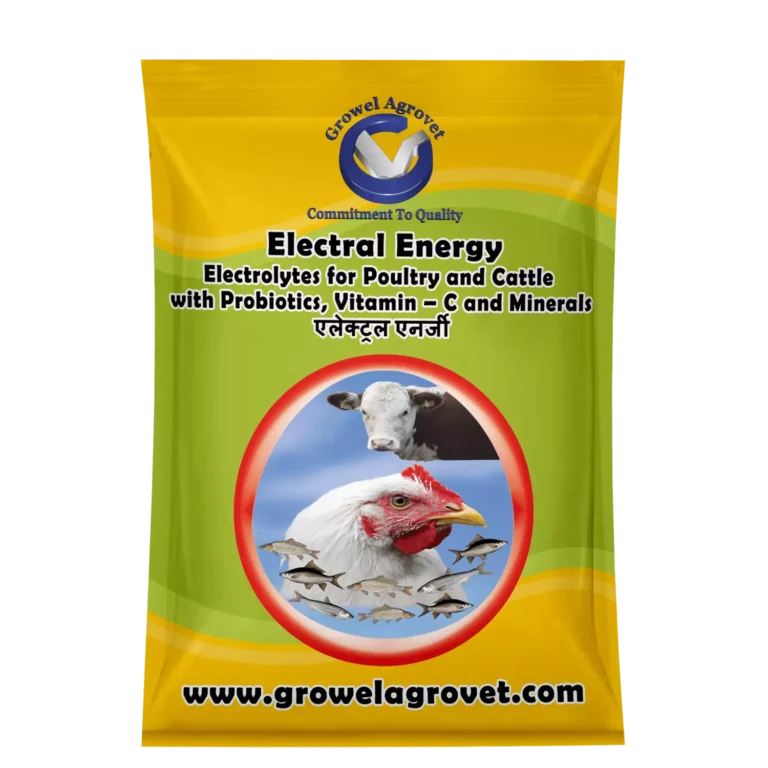 Electral-Energy-1