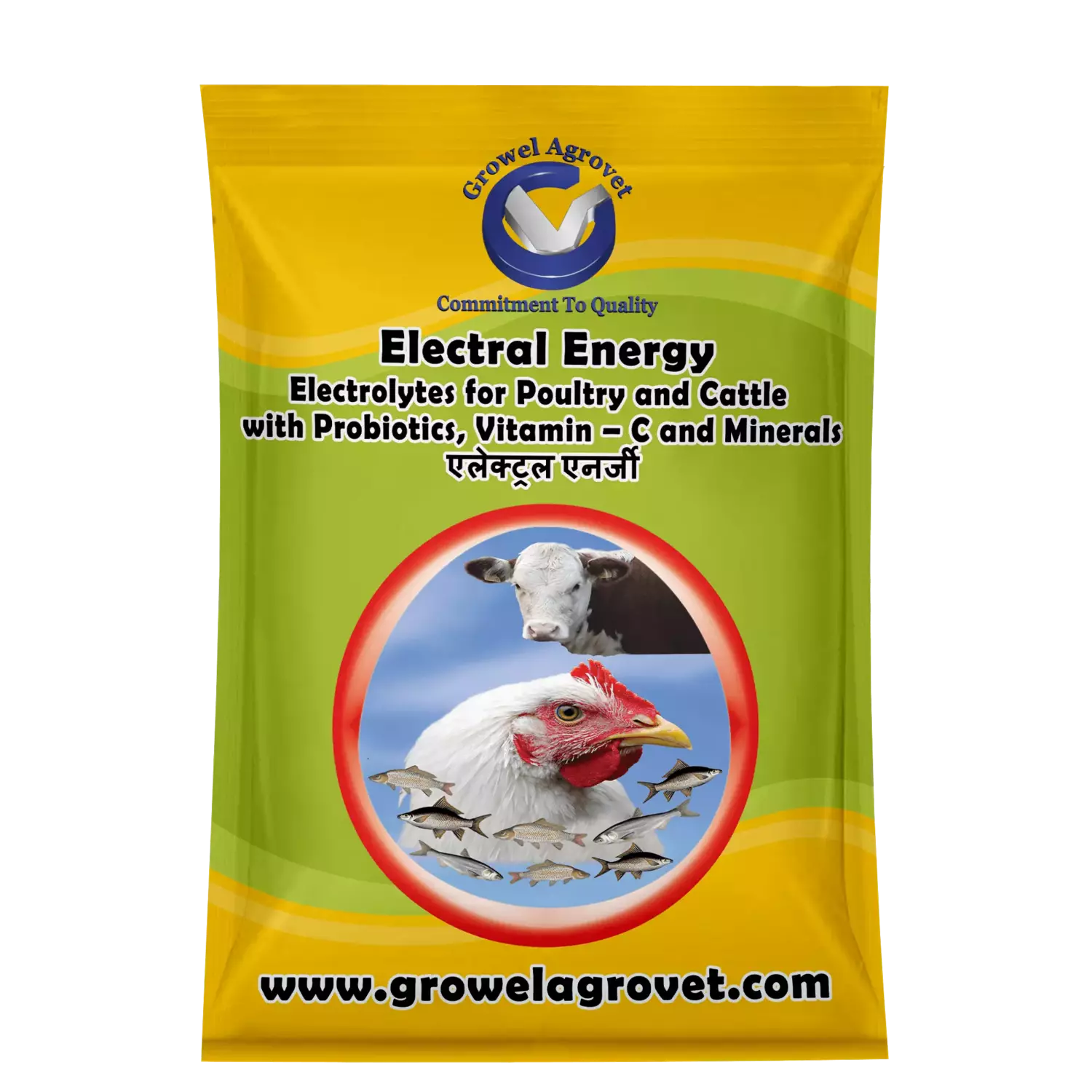 Electral-Energy-1