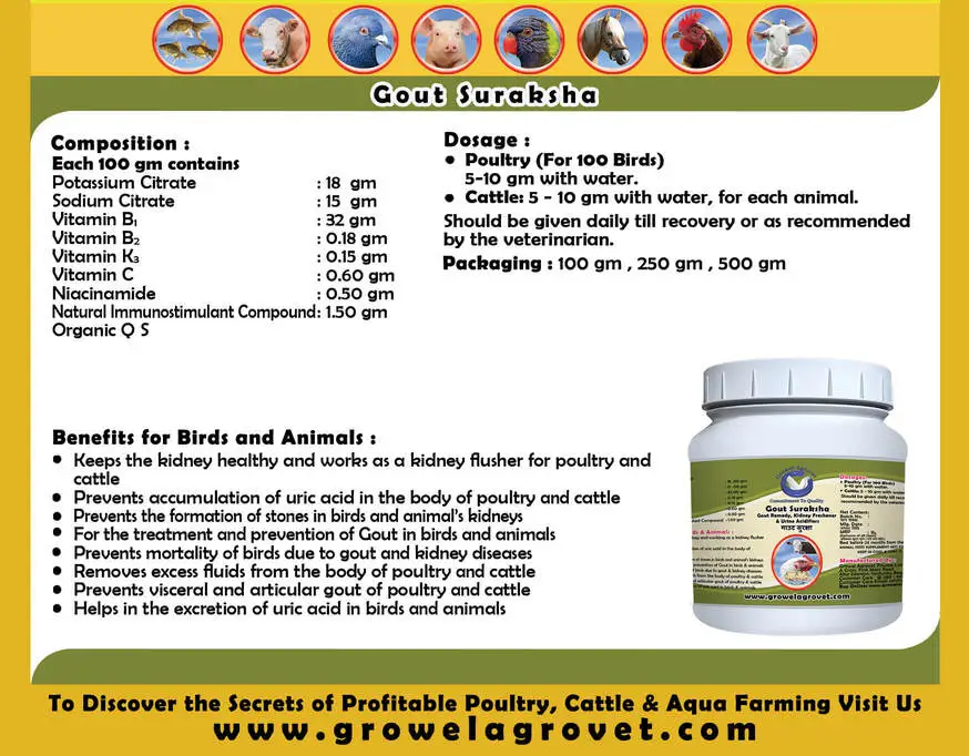 GOUT-SURAKSHA-4