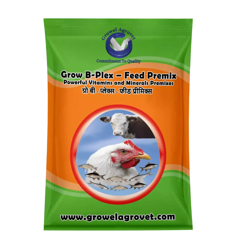 Grow B-Plex – Feed Premix: Vitamins and Minerals Feed Premixes with 19 Compositions for Aquacultures, Animals and Birds.