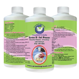 Vitamin E and Selenium for Poultry – Immunity, Productivity & Growth