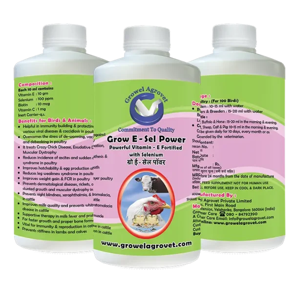 Veterinary Vitamin E Selenium and Biotin for Poultry, Cattle, Horses, Pigs, Goats, Sheep, Birds, and Pigeons