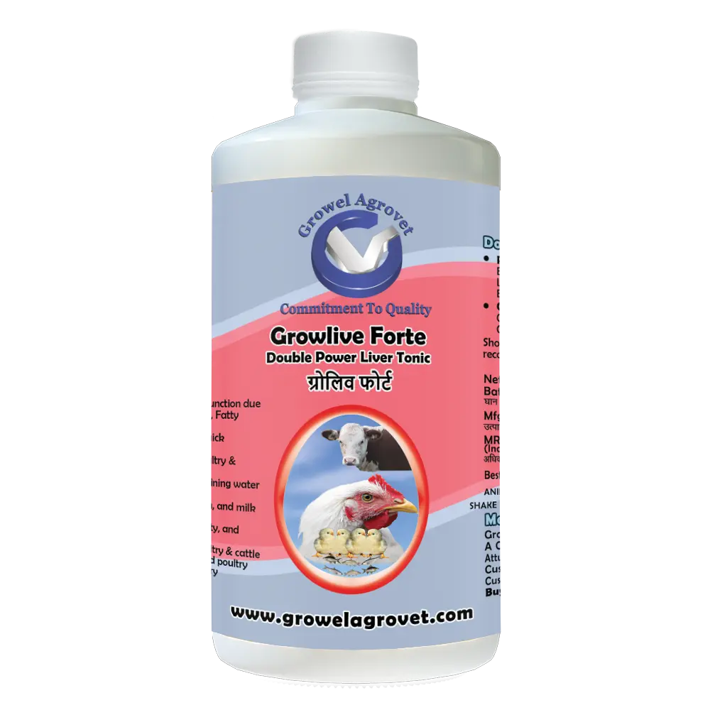 Growlive Forte - A Powerful Liver Tonic for Preventing Hepatic Disorders - Diseases, Better FCR, Growth, and Feed Intake of Pigeons - Image 2