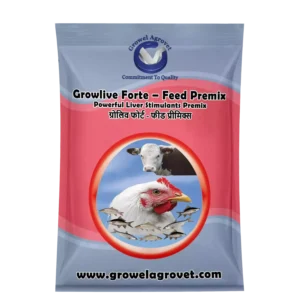Growlive Forte – Feed Premix: Liver Stimulants Feed Premix for Dairy Cattle