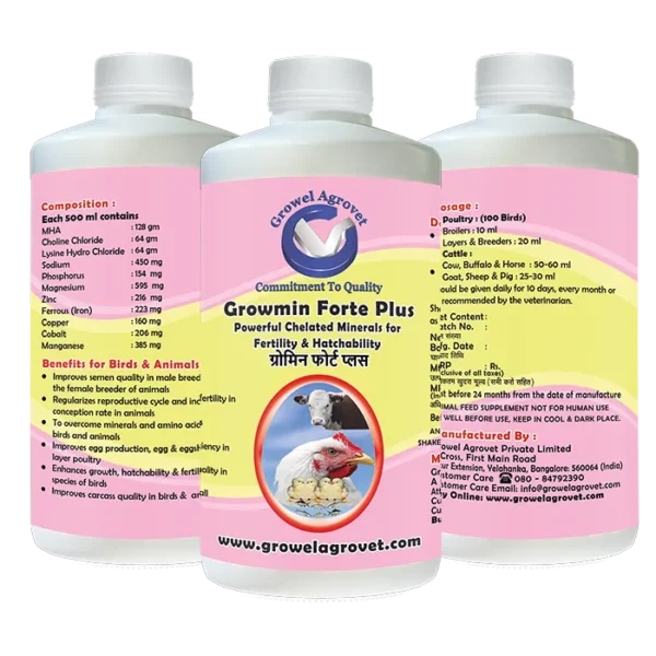 Chelated Minerals Supplements for Aquaculture,Poultry, Cattle, Horses, Pigs, Goats, Sheep, Birds, and Pigeons