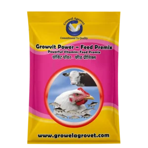 Growvit Power - Feed Premix: Vitamins Feed Premix for Horses and Equines