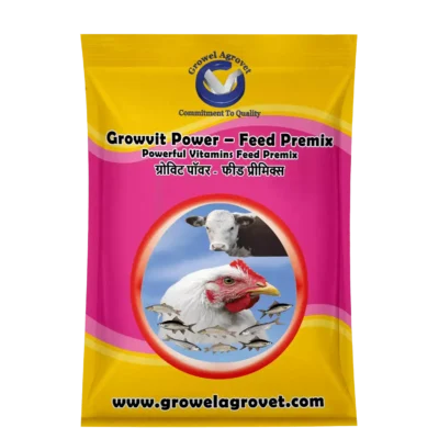 Growvit Power - Feed Premix: Powerful Vitamins Feed Premix for Aquaculture,Fish and Prawns