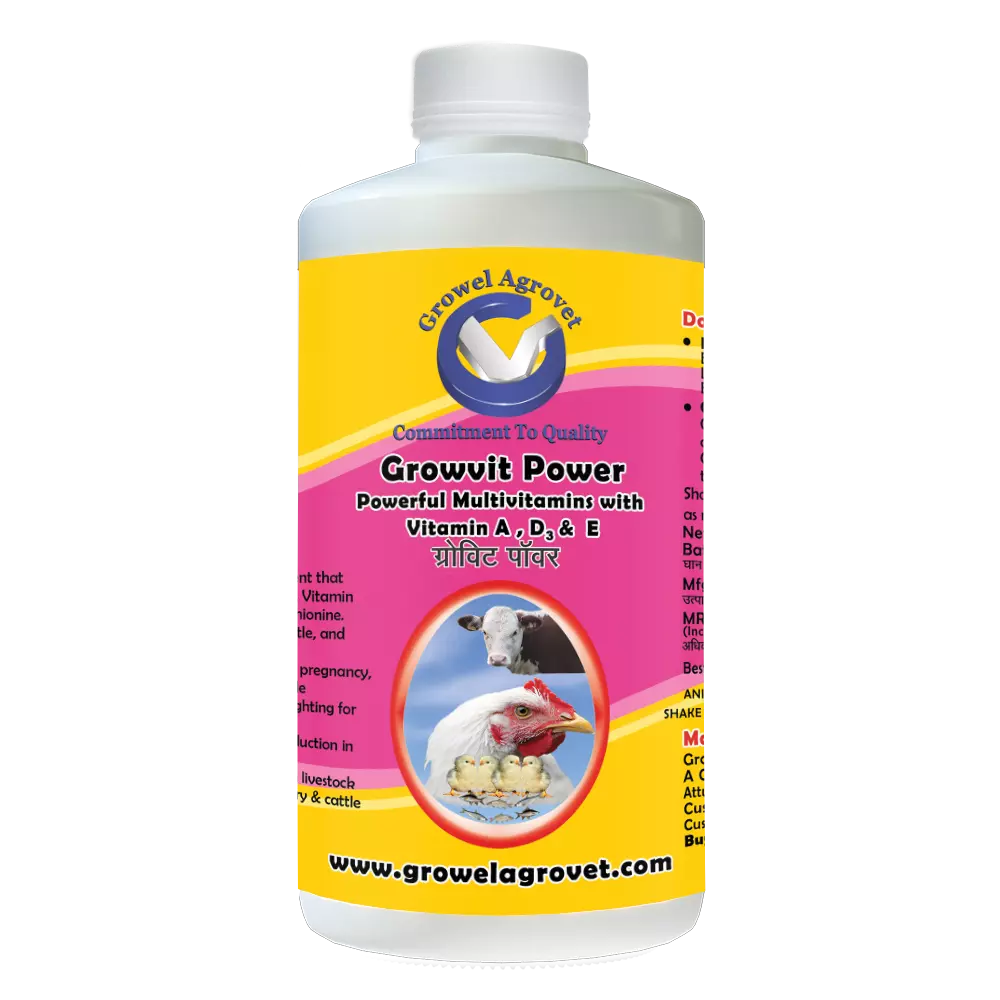 Growvit Power- Multivitamins Premix Contains 9 Essential Vitamins - Image 2