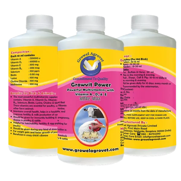 A Powerful Veterinary Multivitamin Contains 9 Essential Vitamins for Aquaculture,Poultry, Cattle, Horses, Pigs, Goats, Sheep, Birds, and Pigeons