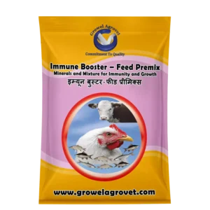 Immune Booster Feed Premix: Minerals & Mixture for Immunity & Growth for Dairy Cattle