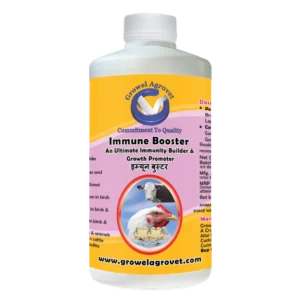 Immune Booster - An Ultimate Immunity Builder and Growth Promoter for Dairy Cattle