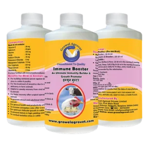 Immune Booster for Poultry – An Ultimate Immunity Booster and Growth Promoter for Poultry