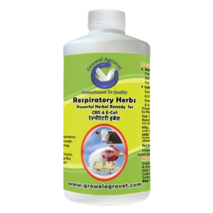 Respiratory Herbs - Respiratory Disease (Pneumonia) Medicine for Dairy Cattle