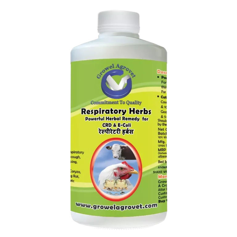 Respiratory_Herbs-1