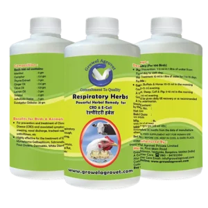 Respiratory Herbs - The Best CRD Medicine for Poultry