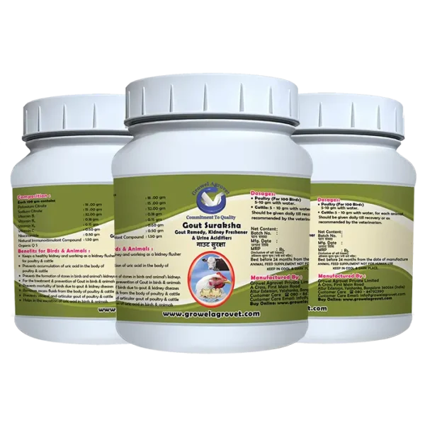Gout Suraksha - Gout Medicine, Kidney Freshener & Urine Acidifiers