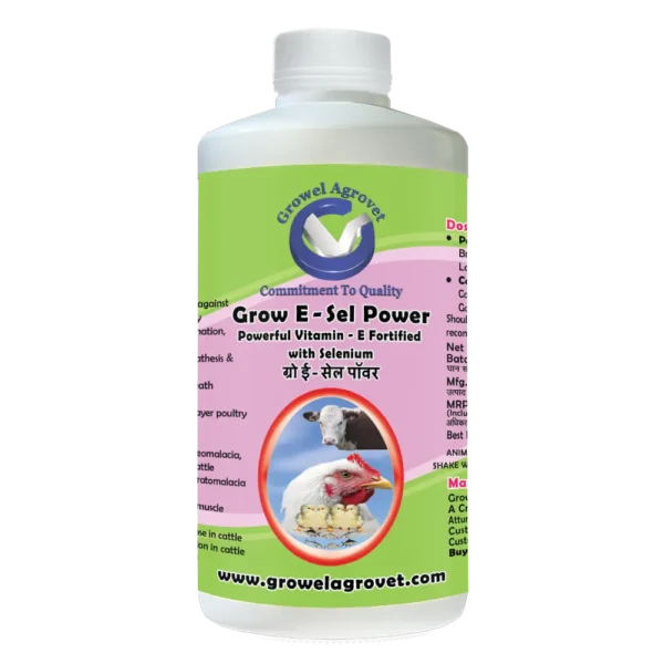 Grow E-Sel Power - Vitamin E Fortified with Selenium for Pigeons