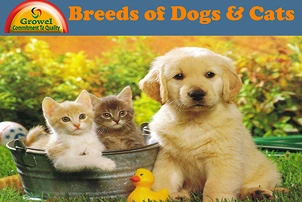 Breeds of Dogs & Cats