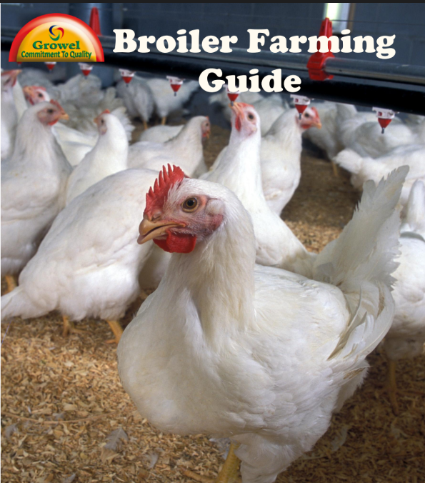 Broiler