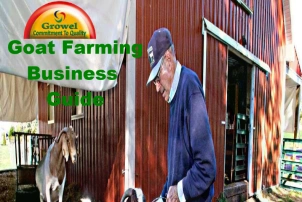 Goat Farming Business Guide