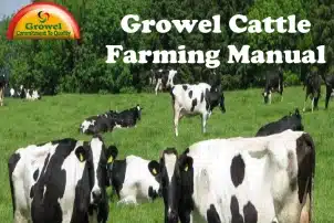 Growel Cattle Farming Manual