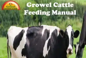 Growel Cattle Feeding Manual