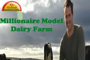 Millionaire Model Dairy Farms