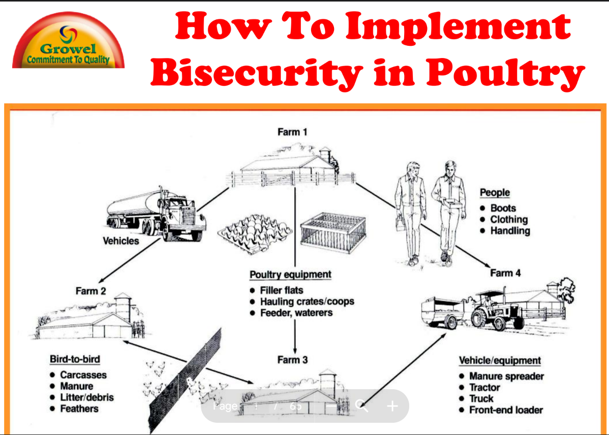 bisecurity-poultry