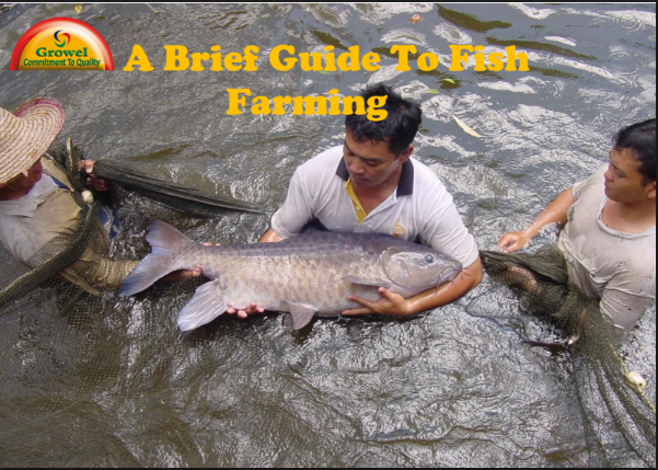 brief guide to fish farming