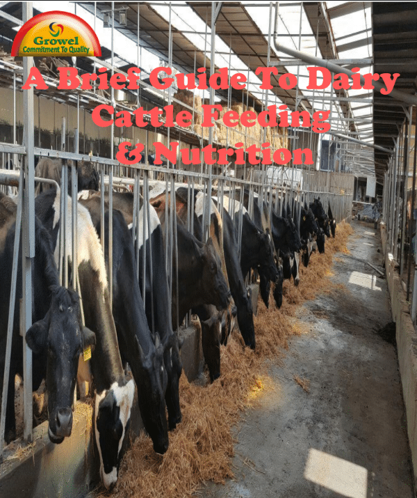 feeding & nutiritions