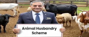 Animal-Husbandry-Scheme