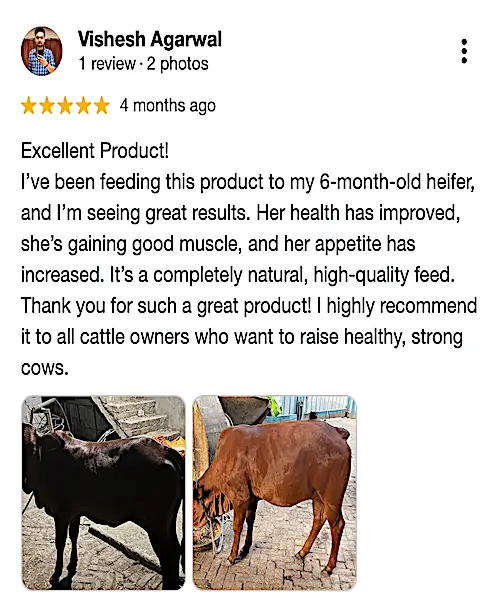 Growel-Google-Review-5