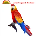 Avian