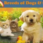 Breeds-of-Dogs-Cats