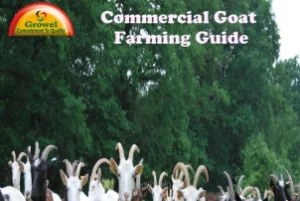 Commercial-Goatery-Guide