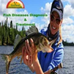 Fish-desiease