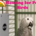 Housing-for-Pet-Birds