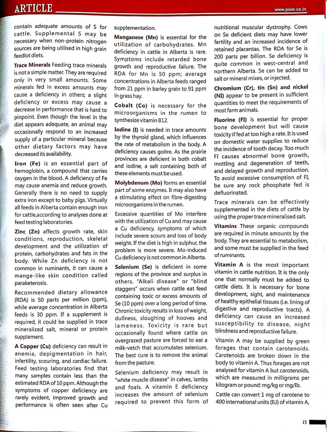 Importance-of-Vitamins-Minerals-for-Dairy-Cattle-2